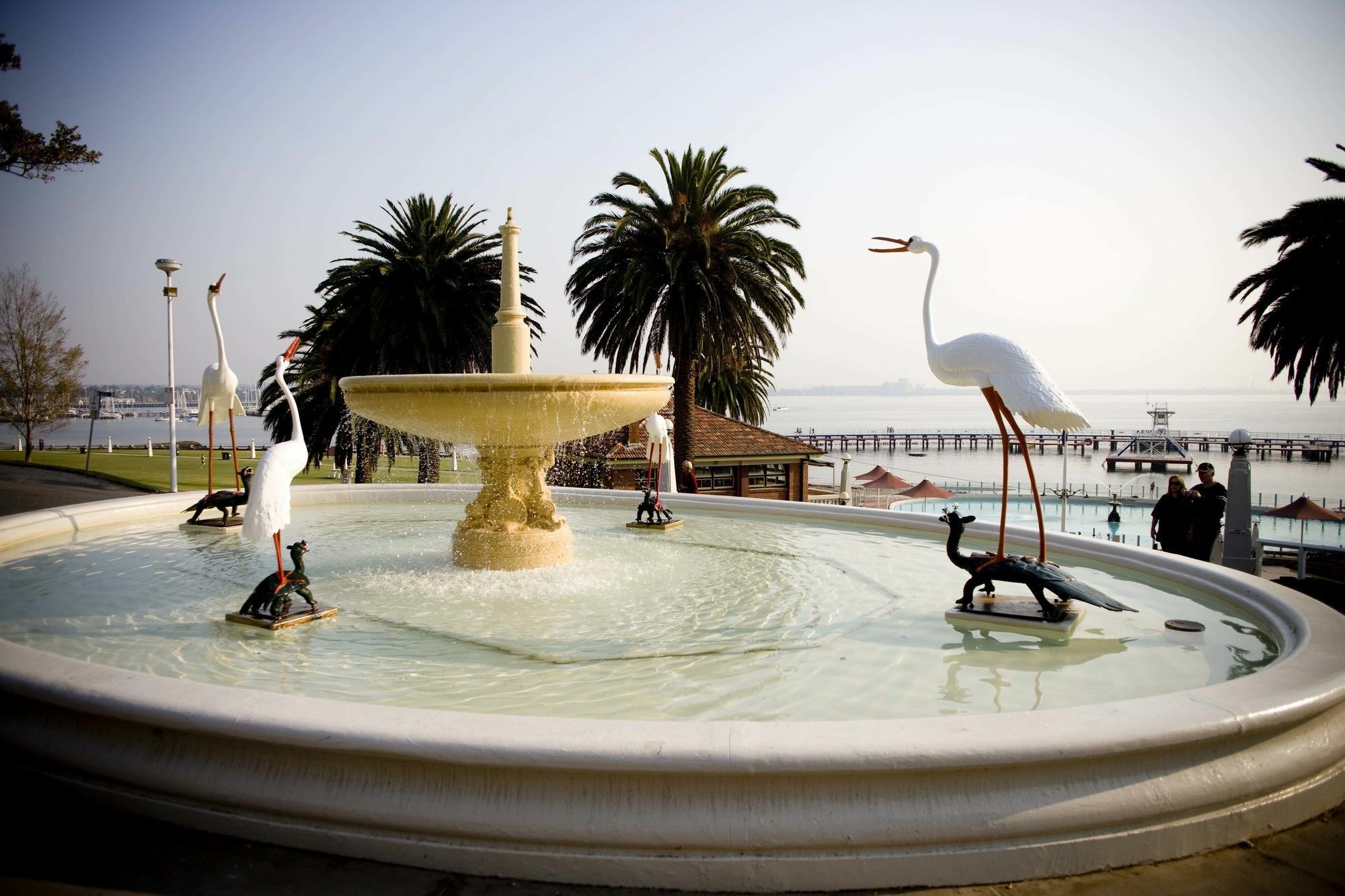 Rydges Geelong Hotell Exteriör bild